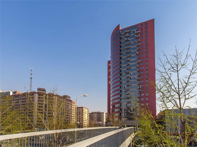 广东HT熏蒸消毒热处理木卡板现价