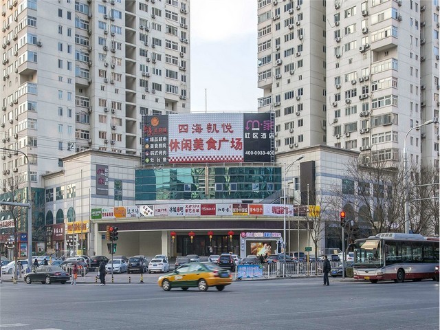 上海人工蜗牛养殖怎么养